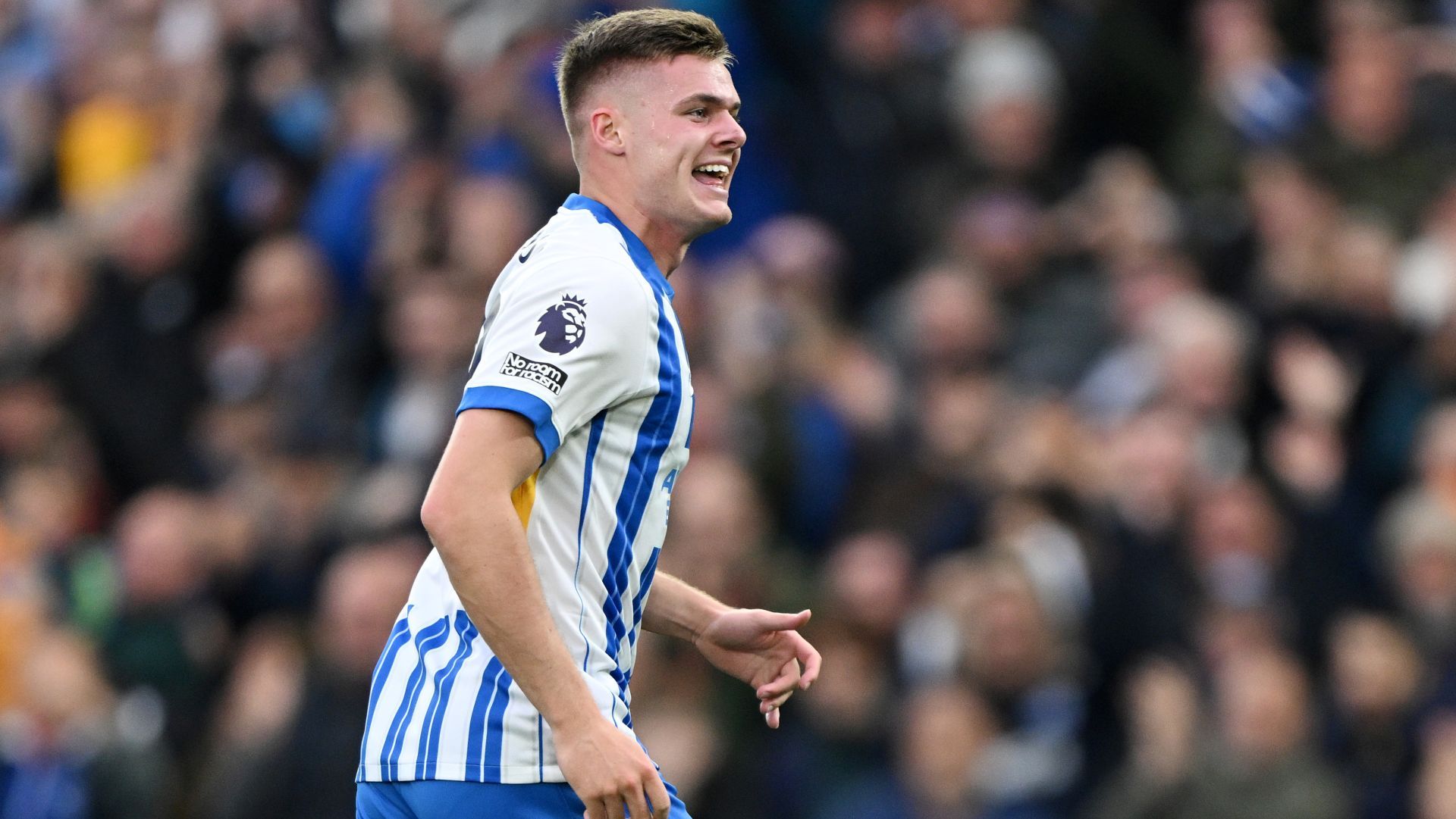 Ferguson del Brighton. Fonte foto: Calciomercato.com