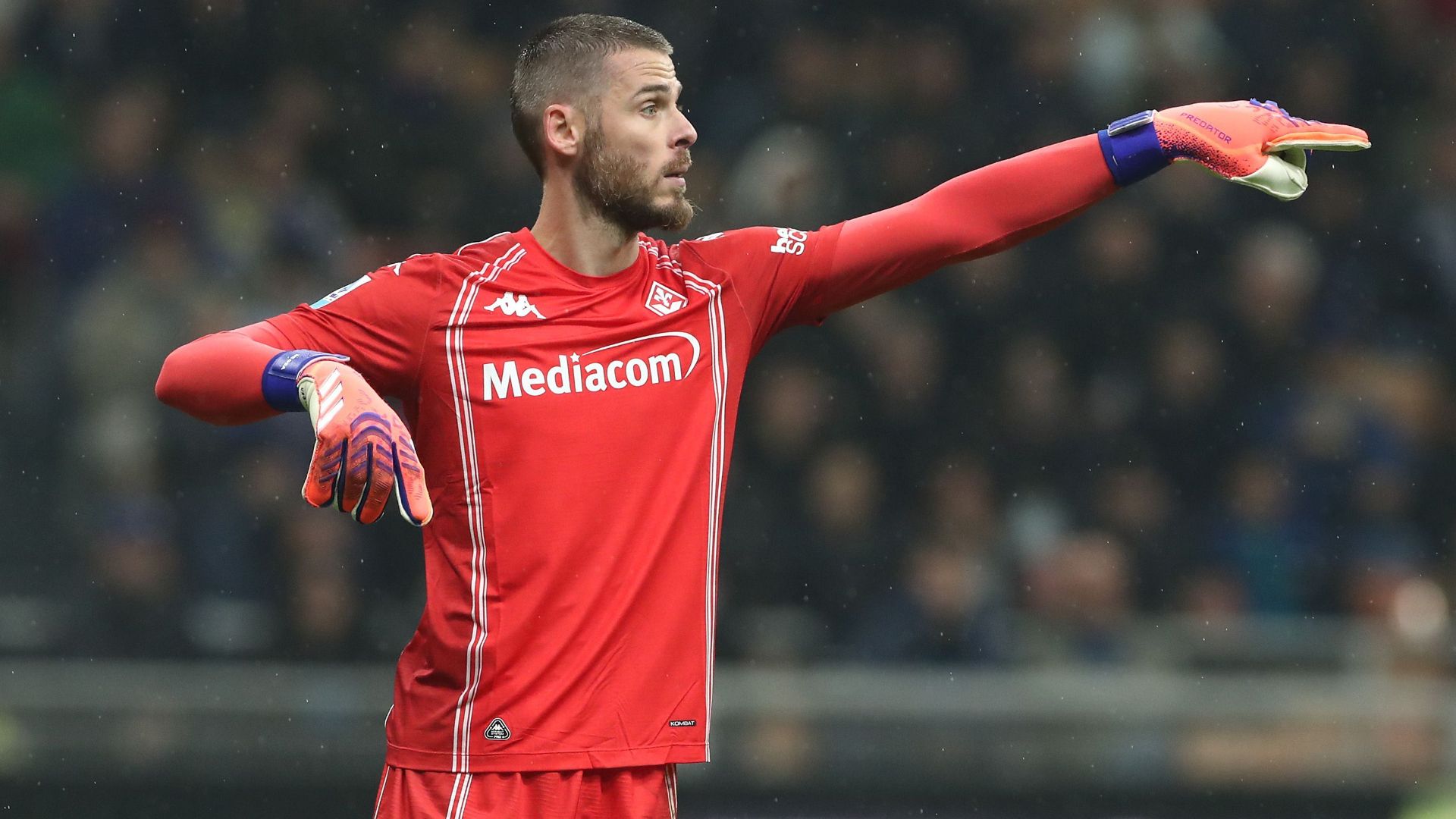 David De Gea Fiorentina