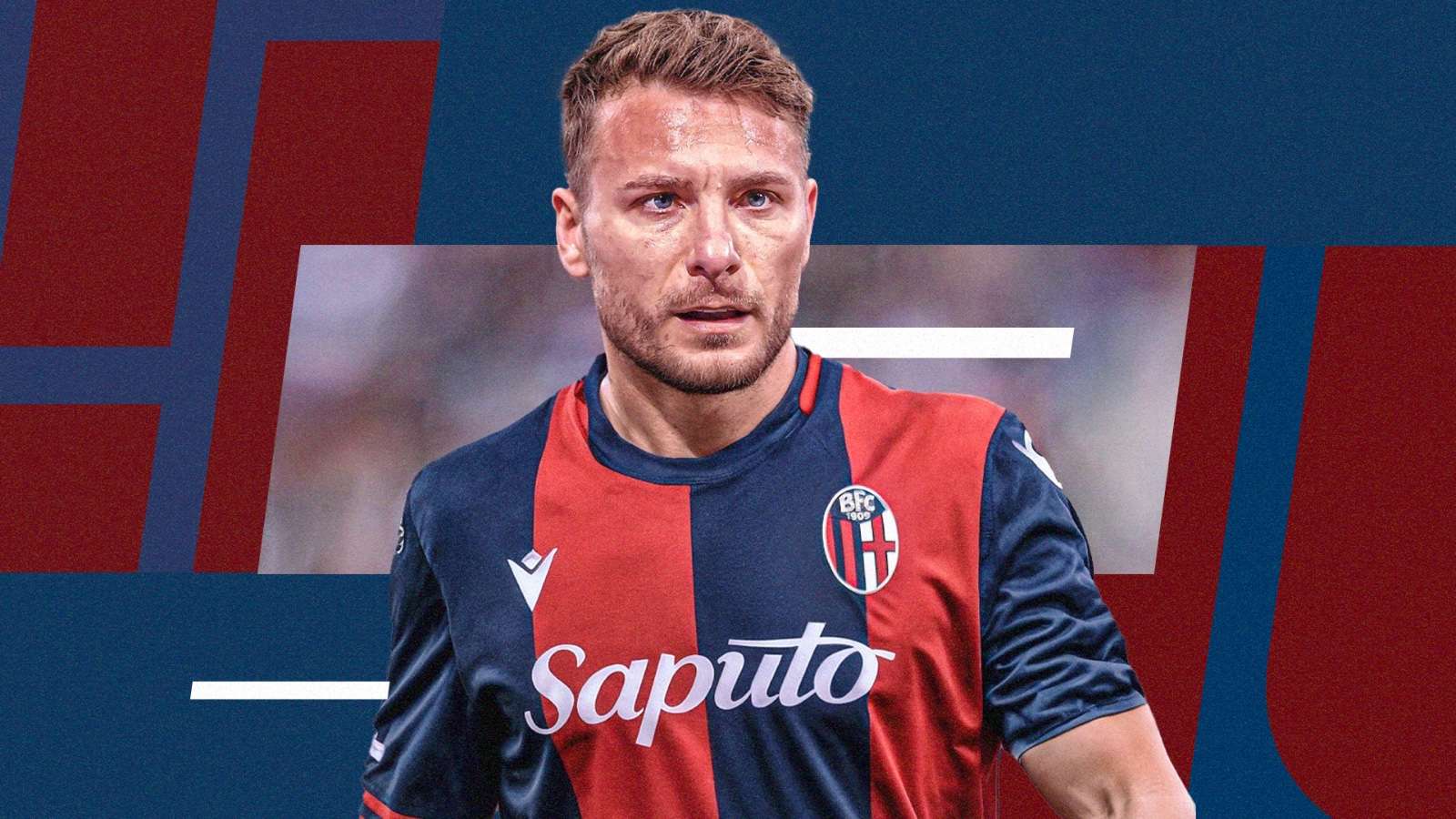 grafica immobile bologna 2025 26