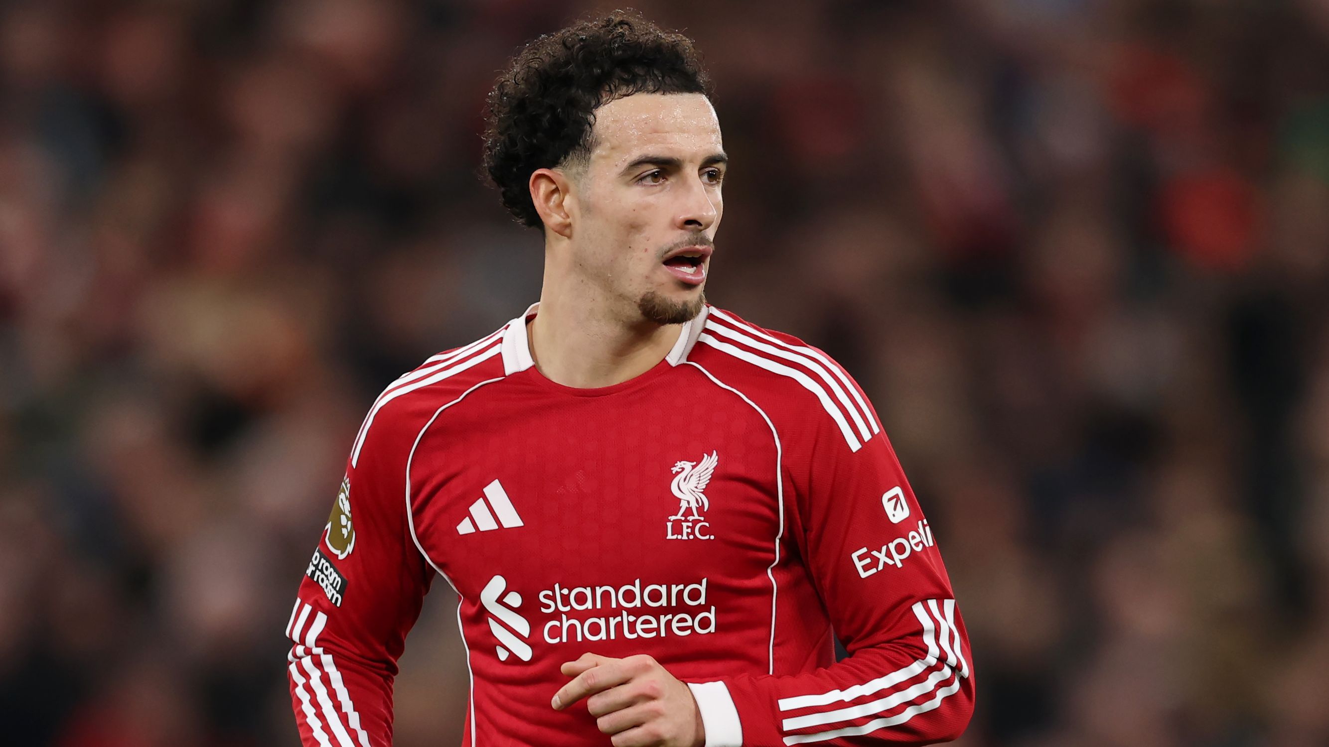 Inter, per l'estate torna di moda la pista Curtis Jones: l'incrocio col futuro di Frattesi, cosa risulta