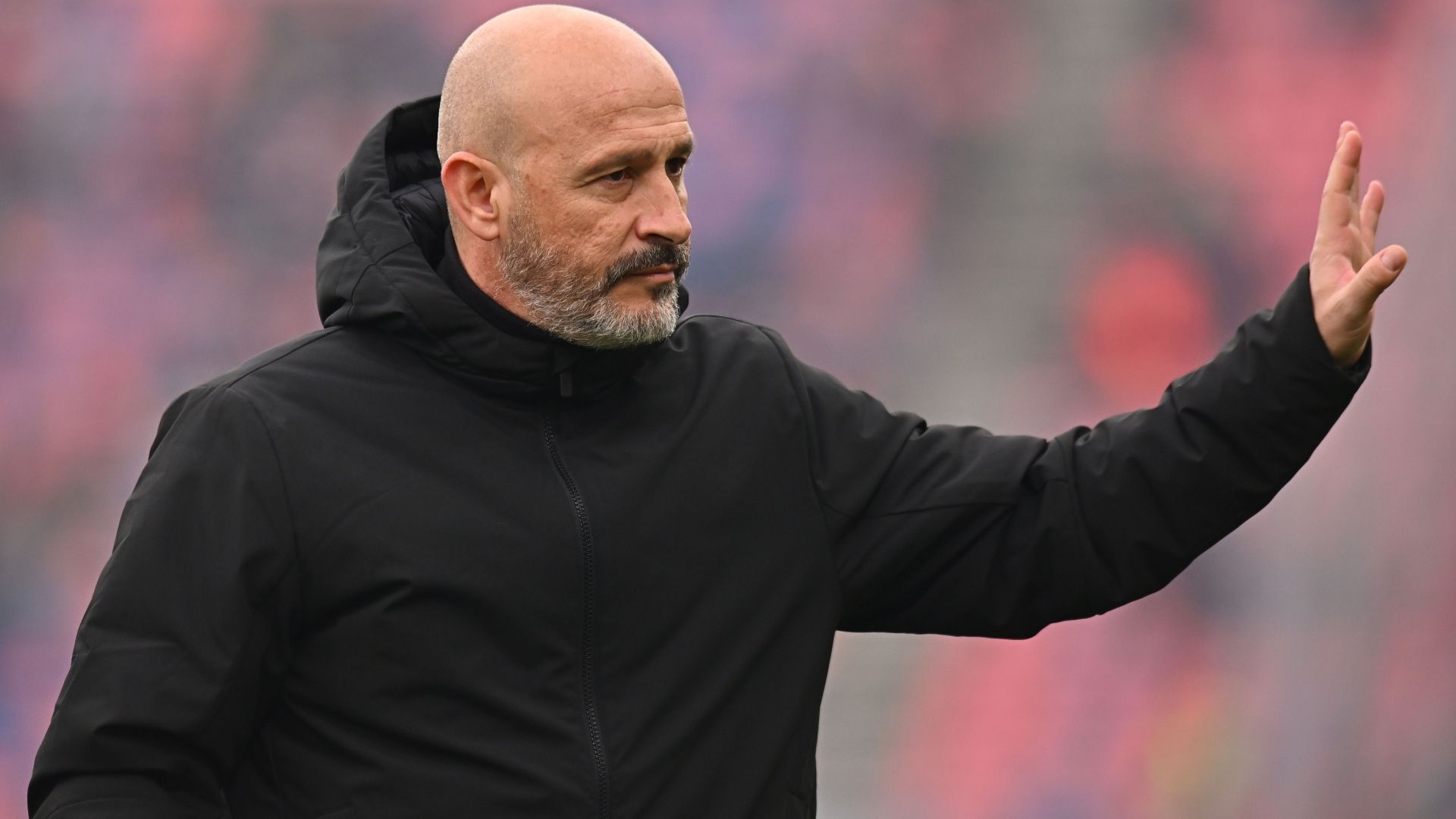 Crisi Bologna, panchina di Italiano appesa a un filo: esonero in quota a 1,75