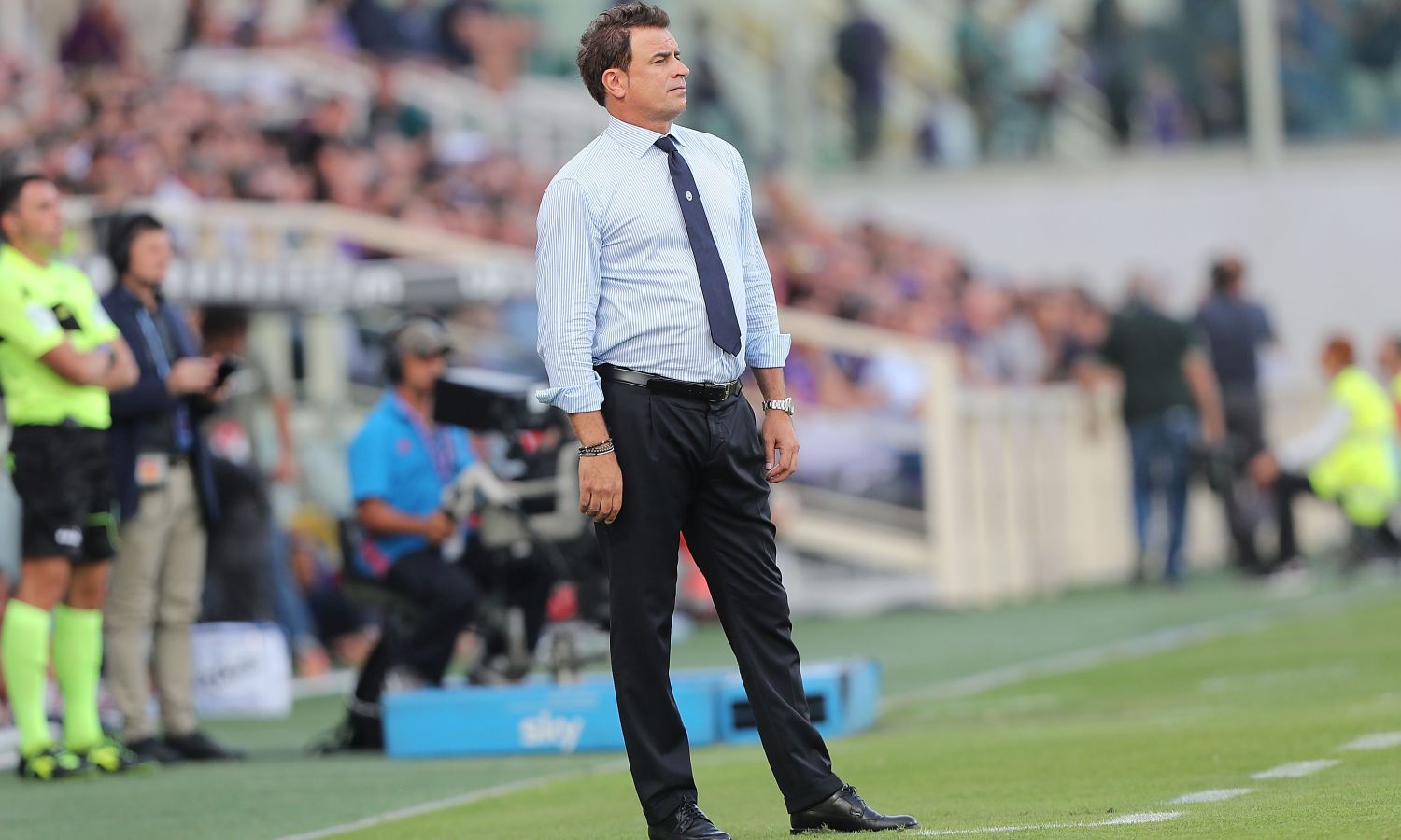 Spal, due colpi per Semplici | Calciomercato