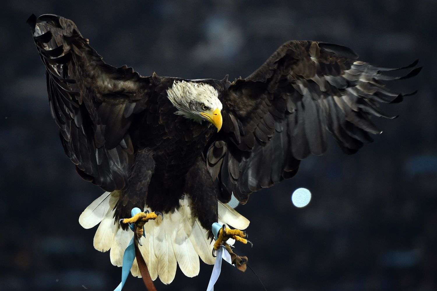 aquila.lazio.jpg