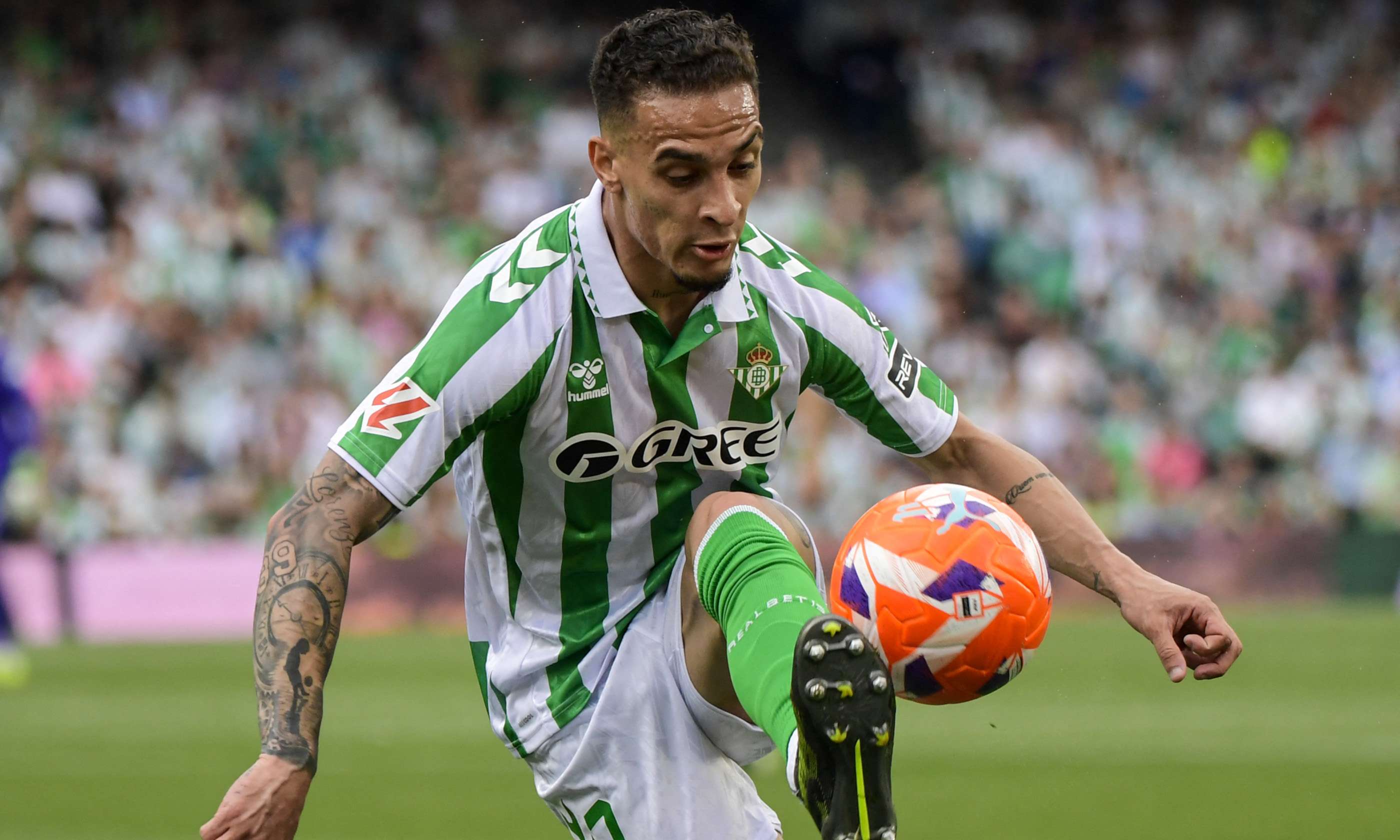 antony.betis.2024.2025.jpg