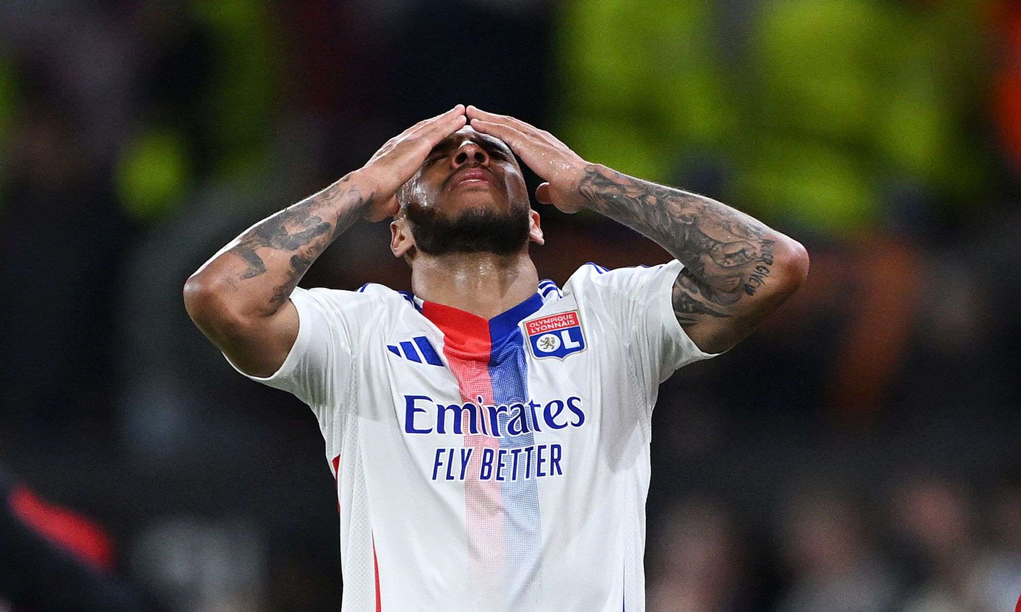 tolisso.lione.2024.25.disperato.jpg