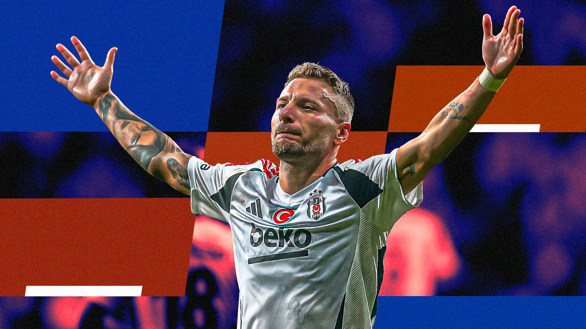 immobile.bologna.2026.png