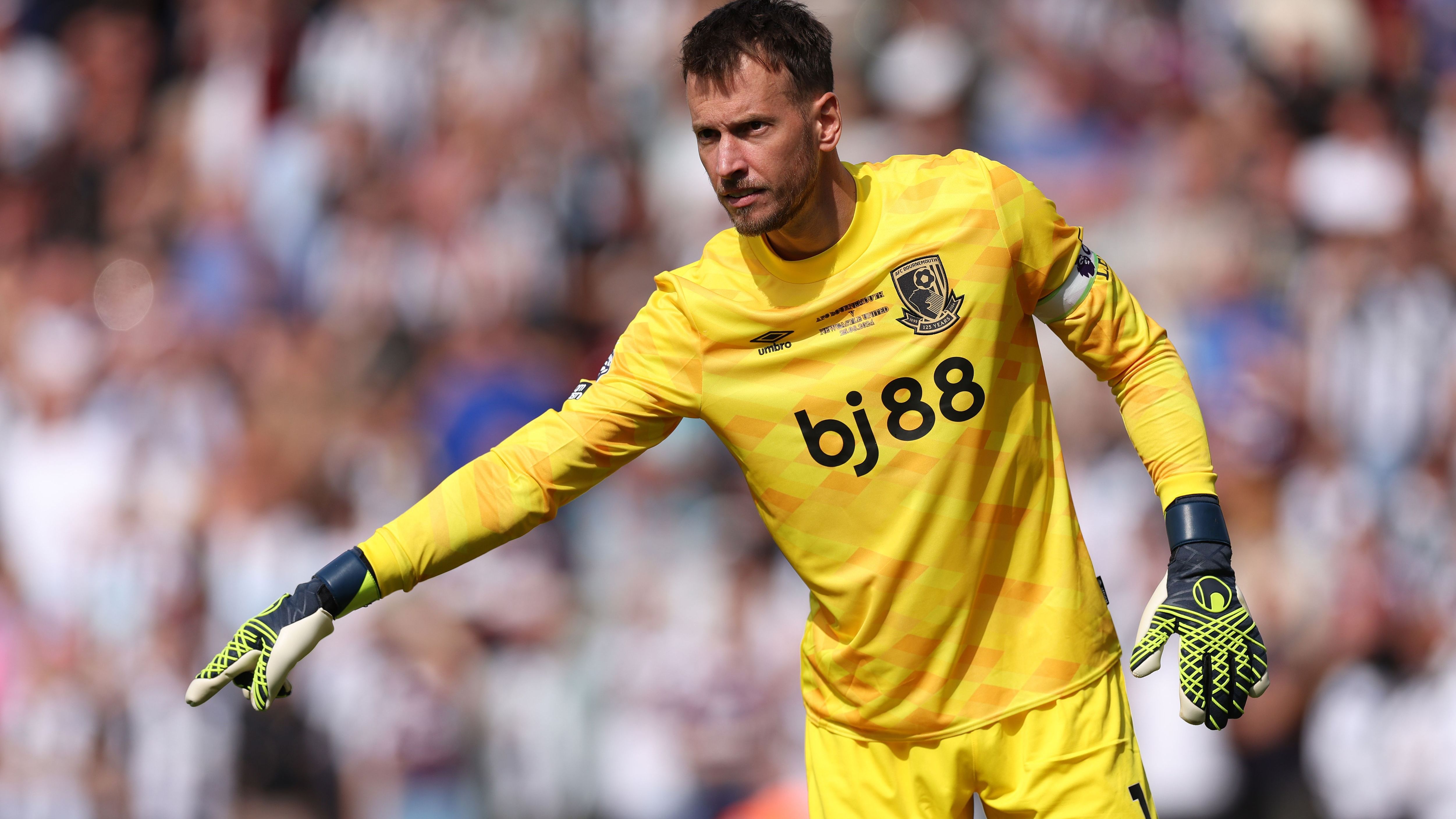 AFC Bournemouth v Newcastle United FC - Premier League