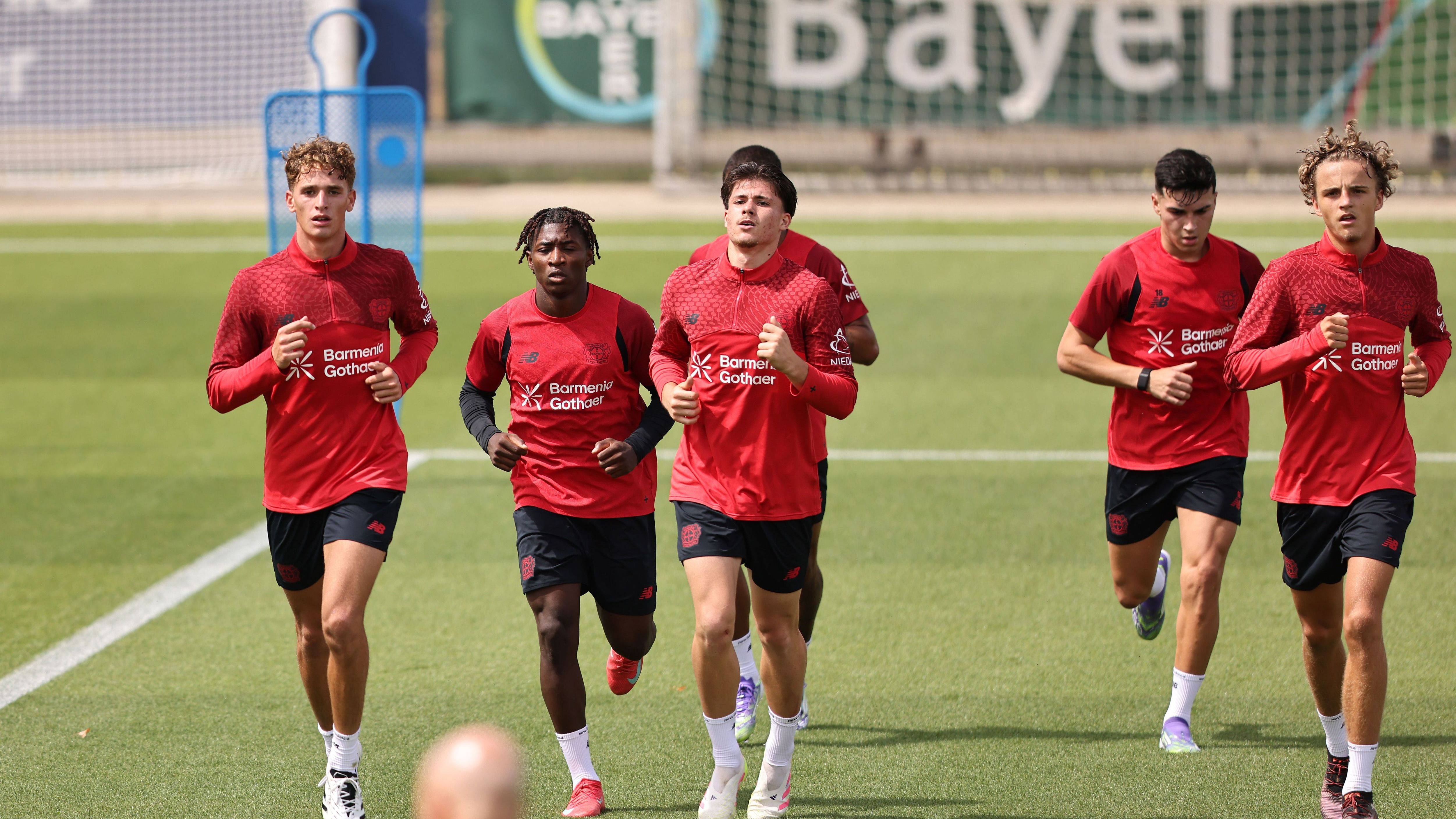 bayer leverkusen inter dove vederla