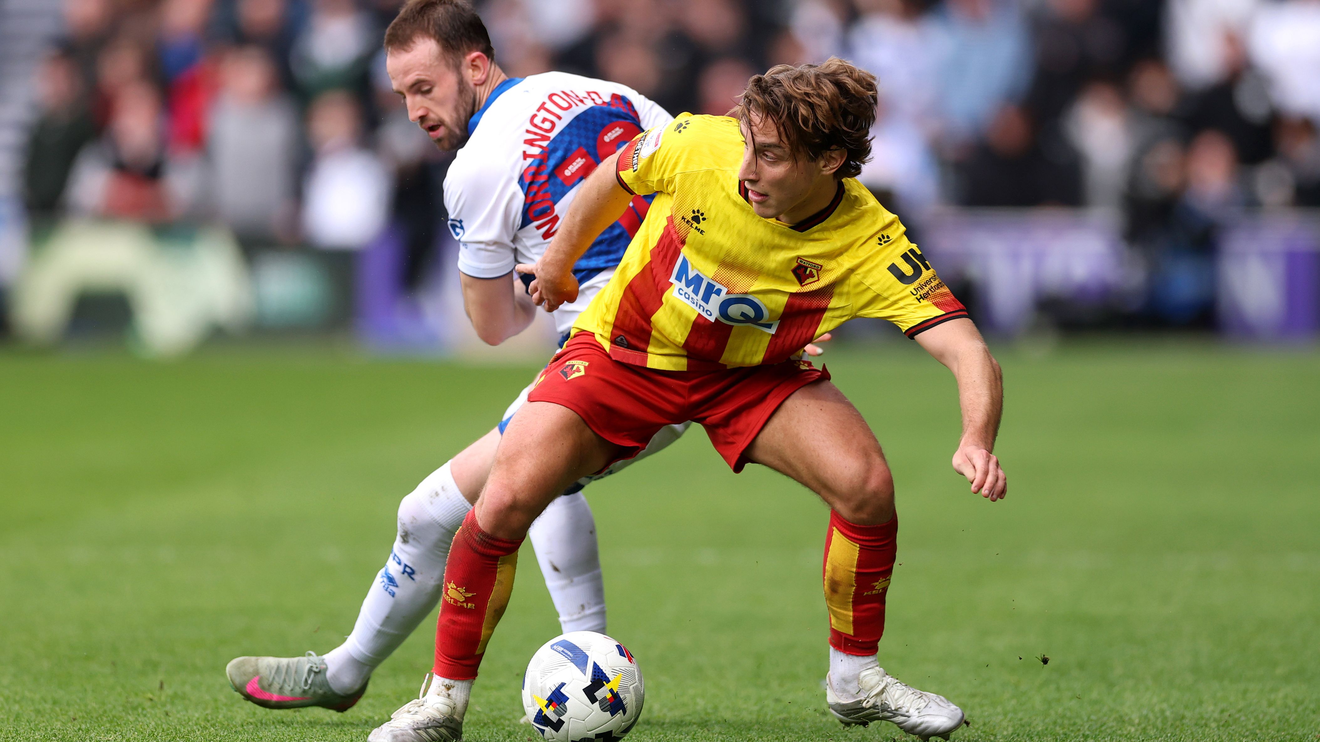 Come sta andando Bove con il Watford: c'è il rinnovo già pronto