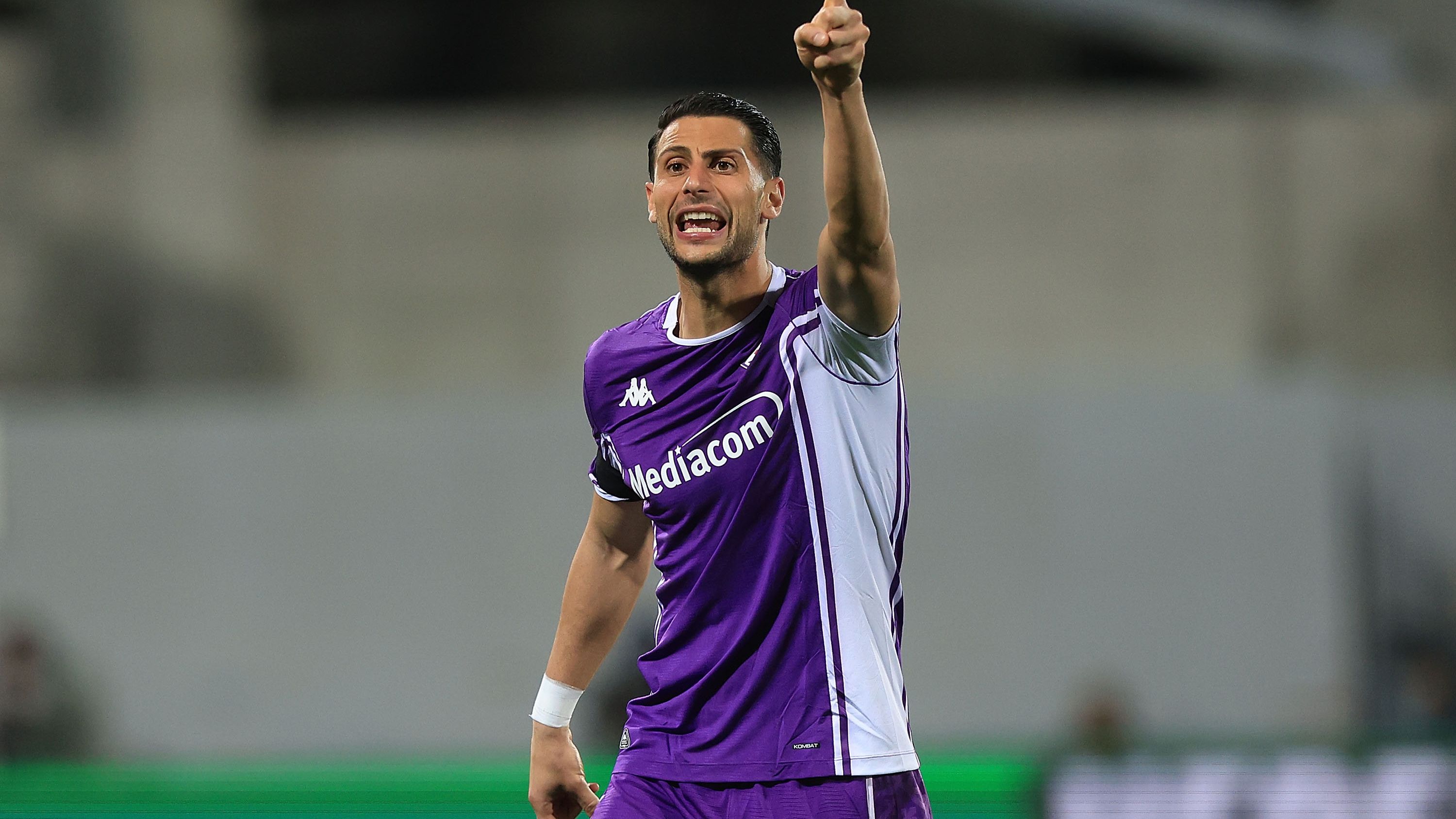 MANDRAGORA (FIORENTINA)