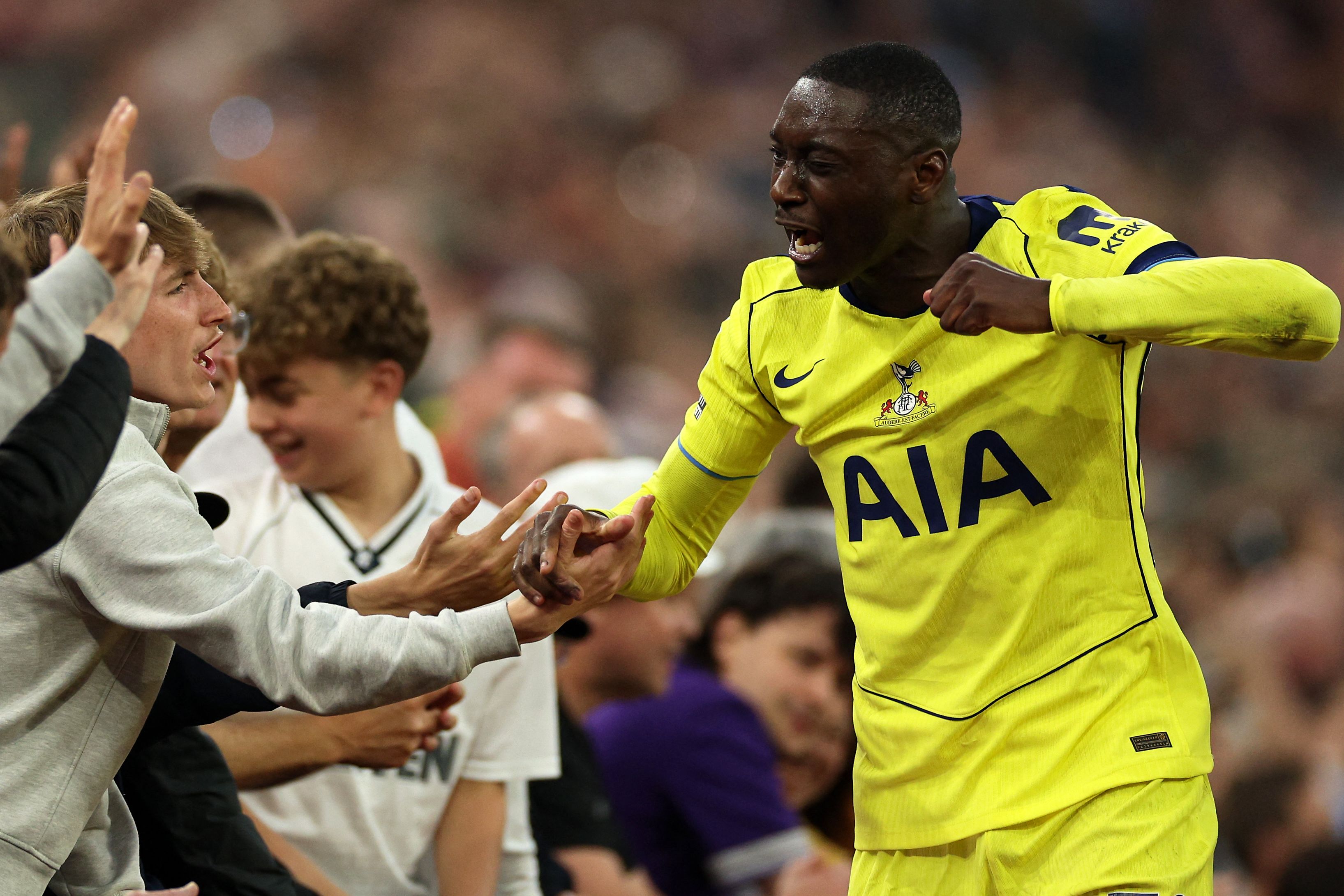 I NUMERI DI KOLO MUANI AL TOTTENHAM 