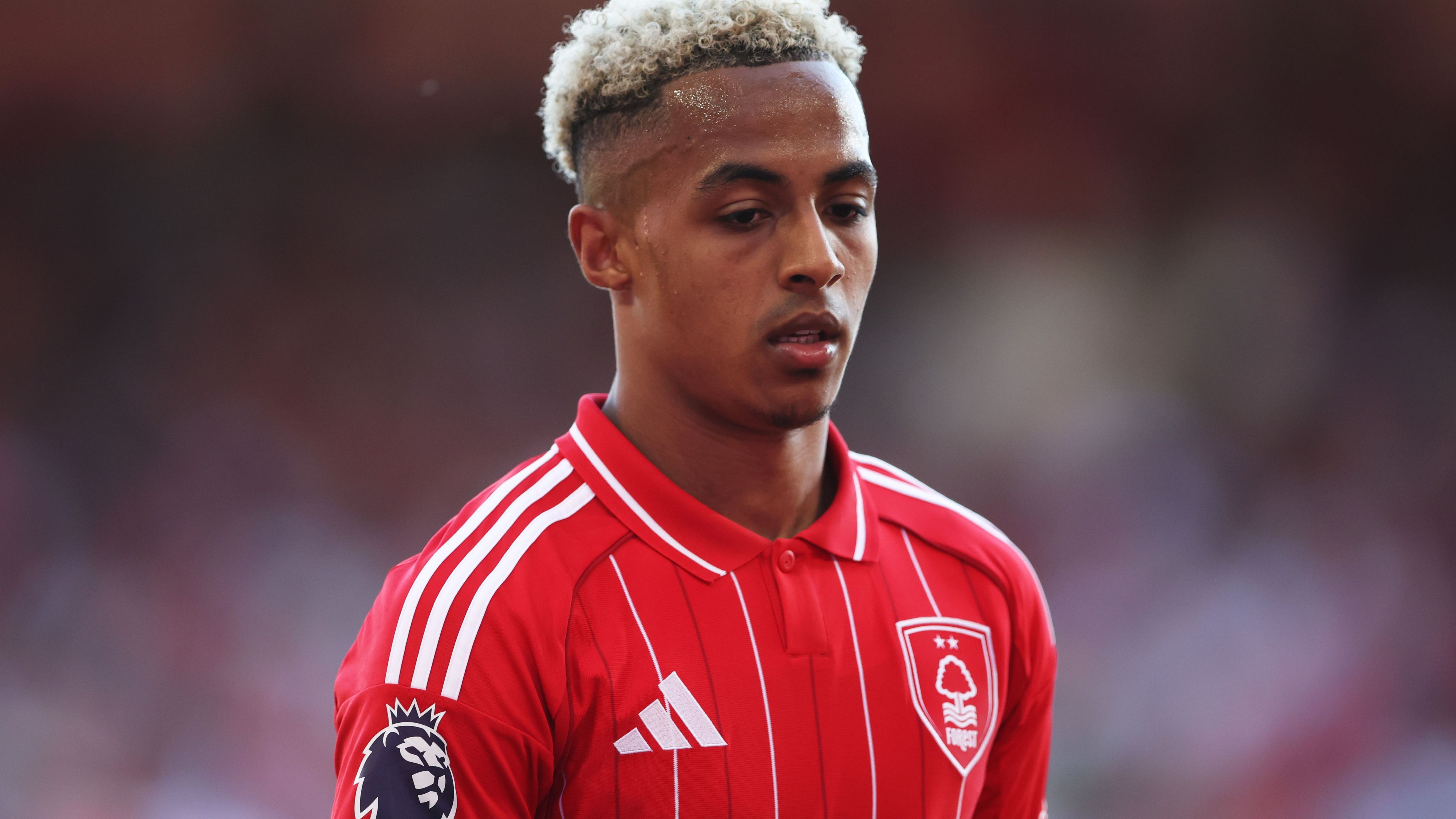 Nottingham Forest v Bournemouth - Premier League