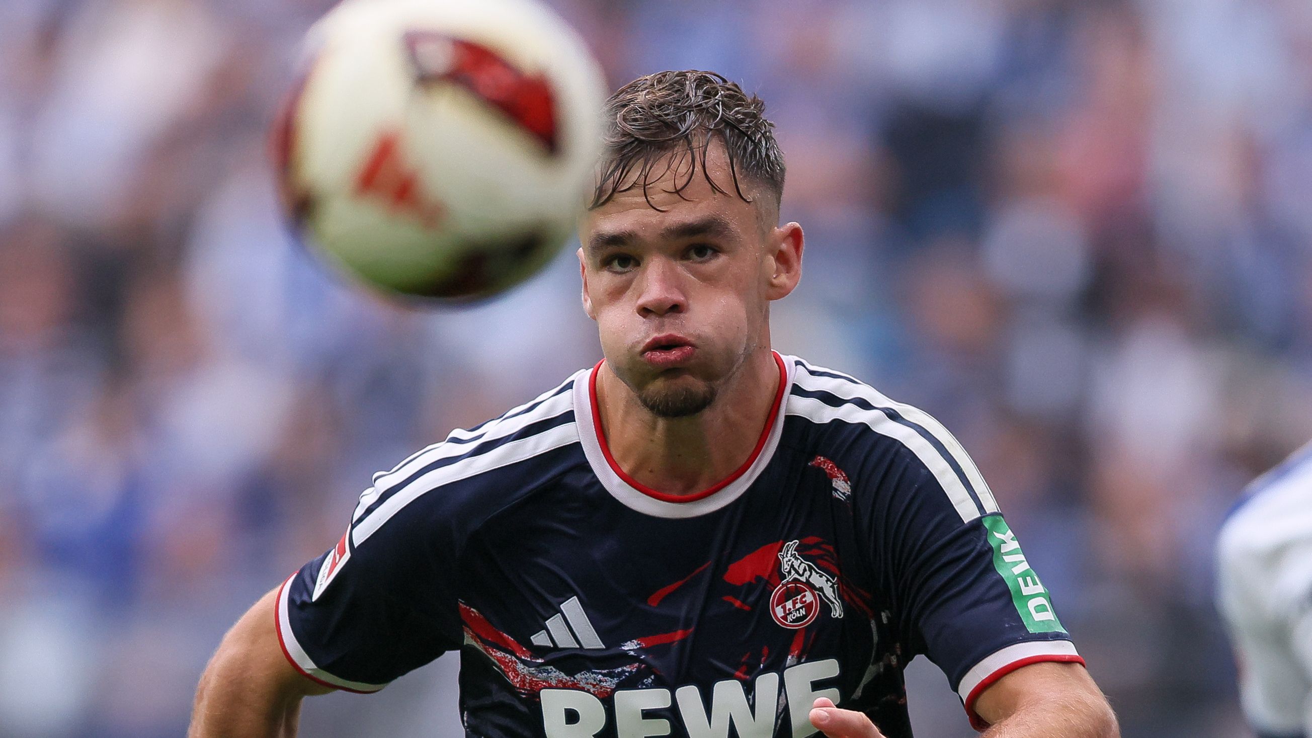 Hamburger SV v 1. FC Köln - Bundesliga 2026/27